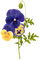 pansy flowers fleur de pensée - zadarmo png animovaný GIF
