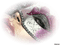 tube visage masquer - ücretsiz png animasyonlu GIF