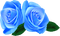 fleur, rose bleu , gif, Pelageya
