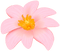 Kaz_Creations Flowers Flower - ücretsiz png animasyonlu GIF