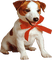 Kaz_Creations Dogs Dog Pup 🐶 - gratis png animerad GIF