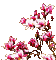 Flower - Ücretsiz animasyonlu GIF animasyonlu GIF