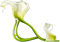 fleurs ( - Free PNG Animated GIF