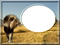 frame africa bp - zadarmo png animovaný GIF