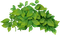 blad ---leaf - δωρεάν png κινούμενο GIF