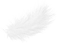 white feather - PNG gratuit GIF animé