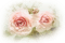 blomma-rosa - ilmainen png animoitu GIF