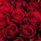 Roses rouges - gratis png animeret GIF