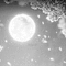 Y.A.M._Spring moon background black-white - Ücretsiz animasyonlu GIF animasyonlu GIF
