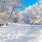 winter  background by nataliplus - Ingyenes animált GIF animált GIF