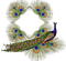 Peacock bp - nemokama png animuotas GIF