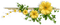 fleurs - δωρεάν png κινούμενο GIF