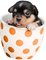 Kaz_Creations Dogs Dog Pup 🐶 - ilmainen png animoitu GIF