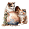 loly33 chat chaton - gratis png geanimeerde GIF