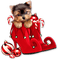 Kaz_Creations Cute Cartoon Dog Pup Christmas Deco - PNG gratuit GIF animé