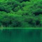 Forest & Lake - png gratuito GIF animata