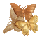 papillon dorée.Cheyenne63 - GIF animé gratuit GIF animé