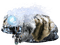 snowflake obsidian shaman frog - 免费PNG 动画 GIF