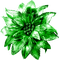 Flower.Green - zadarmo png animovaný GIF