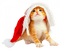 Noël - gratis png animerad GIF