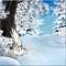 kikkapink animated winter forest tree background - GIF animé gratuit GIF animé