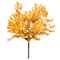 arbre - Nemokamas animacinis gif