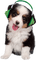 Kathleen Reynolds Dog Pup - zadarmo png animovaný GIF