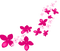 Flowers.White.Pink - Free PNG Animated GIF