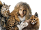 femme et animaux - gratis png animerad GIF