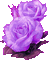 Flowers purple bp - Gratis geanimeerde GIF geanimeerde GIF