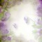 Kaz_Creations Backgrounds Background Flowers - бесплатно png анимированный гифка