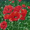 kikkapink background animated painting spring - Gratis geanimeerde GIF geanimeerde GIF