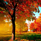 Rena Autumn Herbst Hintergrund - bezmaksas png animēts GIF