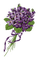 kikkapink vintage flowers deco spring summer - ilmainen png animoitu GIF