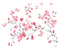 cherry blossom spring - kostenlos png Animiertes GIF
