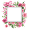 pink flower frame cadre pink fleur - zdarma png animovaný GIF