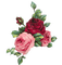 roses - gratis png animerad GIF