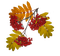 höst blad ---autumn leaves - png ฟรี GIF แบบเคลื่อนไหว