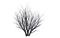 albero - Free PNG Animated GIF