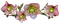 kukka flower fleur - darmowe png animowany gif