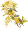 soave deco vintage branch bird yellow - PNG gratuit GIF animé