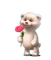 Oso blanco con una flor - png gratis GIF animado
