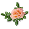 rose - 免费PNG 动画 GIF