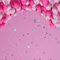 Fond.Background.Birthday.Pink.Victoriabea - Free animated GIF Animated GIF