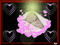 chaton noir et rose - Ilmainen animoitu GIF animoitu GIF