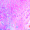 Background Pink - Zdarma animovaný GIF animovaný GIF