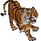 aze tigre - GIF animado grátis Gif Animado
