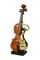 violon.Cheyenne63 - besplatni png animirani GIF