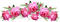 pink milla1959 - nemokama png animuotas GIF