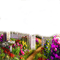 Jardin - Free PNG Animated GIF
